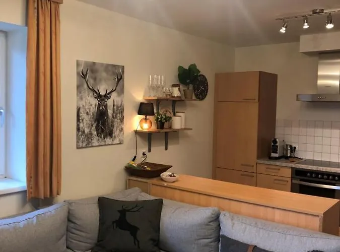 Panorama Das.schiller 公寓 巴德加斯坦